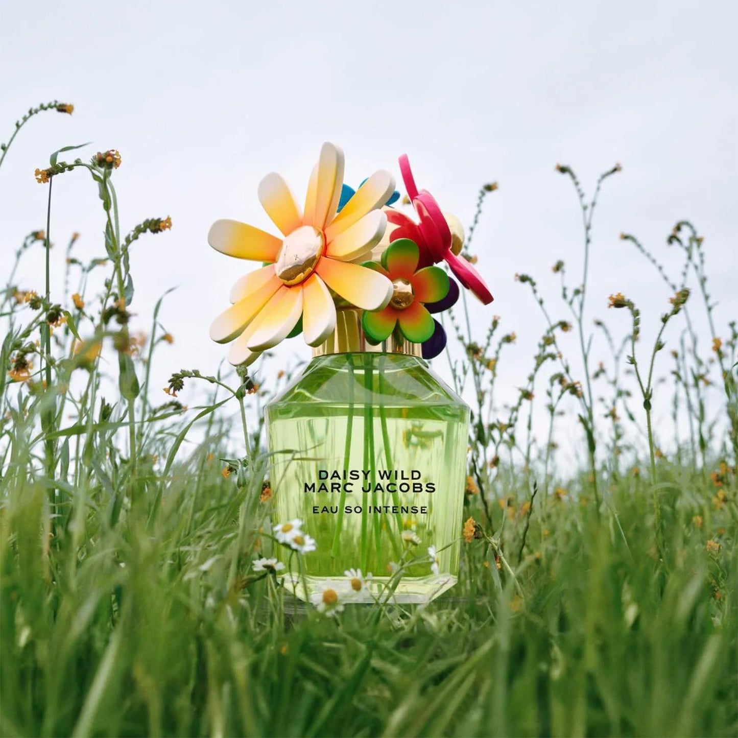 Marc Jacobs Daisy Wild Eau So Intense 100ml